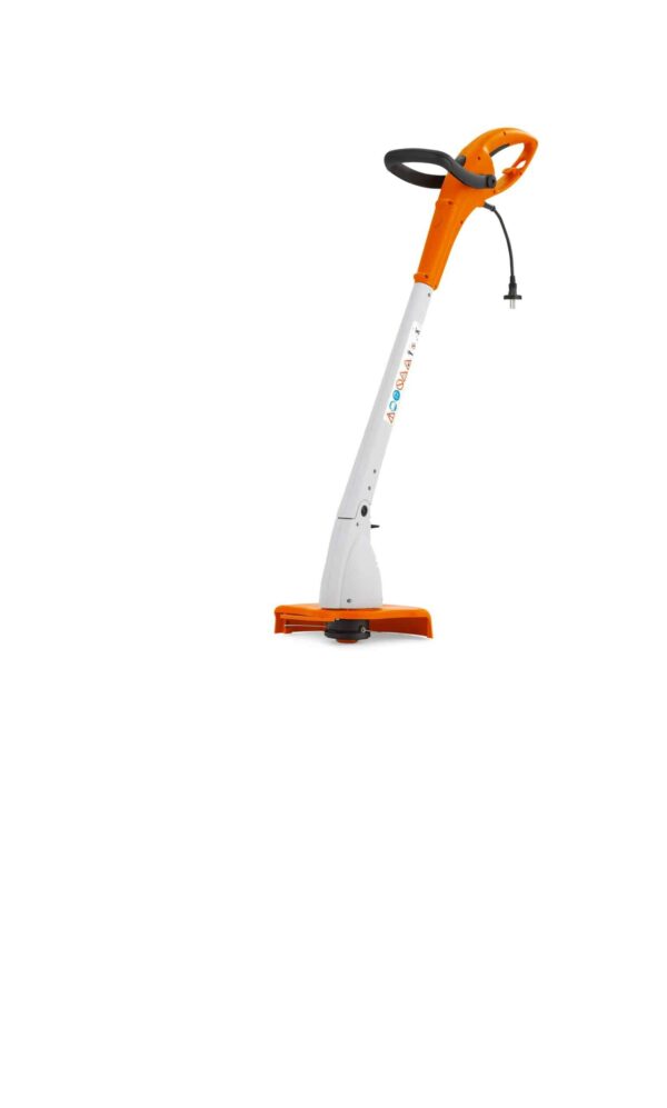 FSE 31