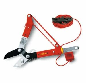 RC-M Amboss-Baumschere