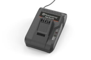 Aspire®  Ladegerät P4A 18-C170 8A