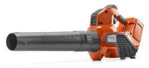 Akku Laubbläser 120iB +BLi20/QC80